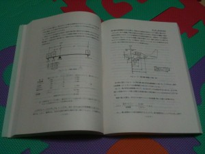 パイロットハンドブックの中身です。
